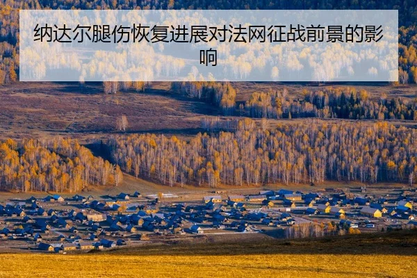 na-da-er-tui-shang-hui-fu-jin-zhan-dui-fa-wang-zheng-zhan-qian-jing-de-ying-xiang-2-315.jpg